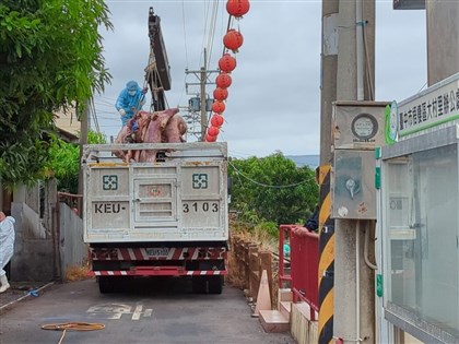 台中豬場疑染非洲豬瘟 檢約談豬農父子保全證據