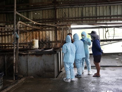 防非洲豬瘟禁廚餘養豬　地方採焚化、堆肥處理