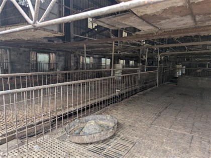 非洲豬瘟台中疑似案例豬場　28頭流向彰化嘉義等3縣市