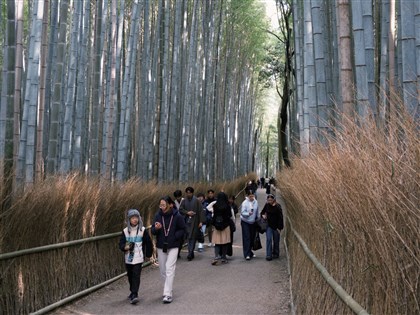 京都連2日傳共5起熊出沒 靠近景區嵐山、廣澤池