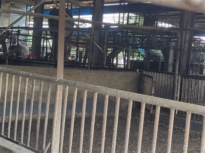 防堵非洲豬瘟 卓榮泰:全面疫調、廚餘去化場地須改進