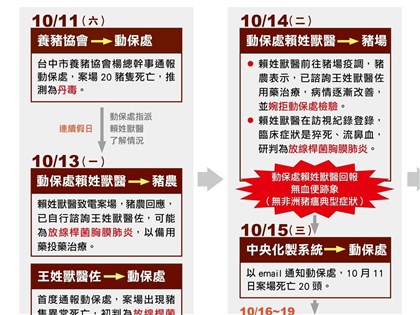 非洲豬瘟案疫調:台中市養豬協會總幹事10/11通報動保處