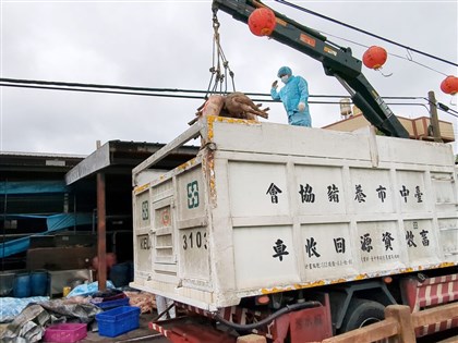 非洲豬瘟場化製單疑遭塗改 檢赴台中環保局調資料釐清