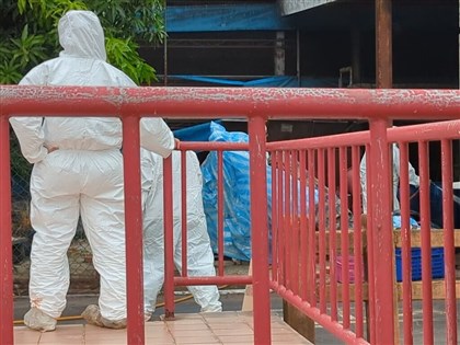 非洲豬瘟案王姓獸醫佐列證人 檢方訊後請回