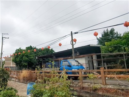 非洲豬瘟案場死豬數有落差　中市府證實送化製廠單據遭塗改