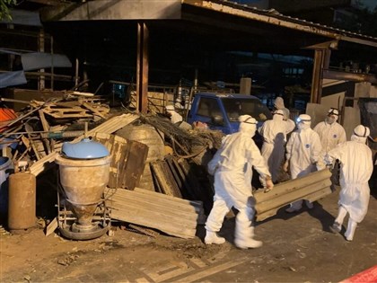 台中非洲豬瘟場2度清消仍檢出陽性 雜物未移除、污泥最厚10公分