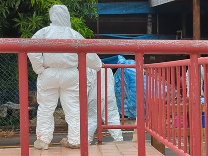 台中非洲豬瘟案場30日清消前 再驗出3處陽性