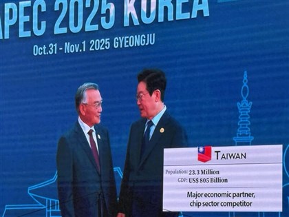 APEC峰會登場 林信義進場大會轉播畫面秀中華民國國旗