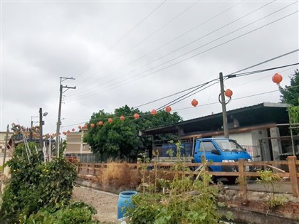 首例非洲豬瘟疫調出爐　中市府目標：疫情鎖在案場