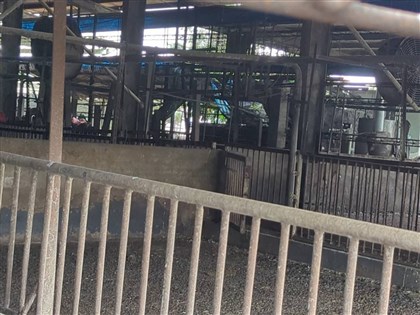 台中非洲豬瘟案　豬農父子涉業務登載不實羈押禁見