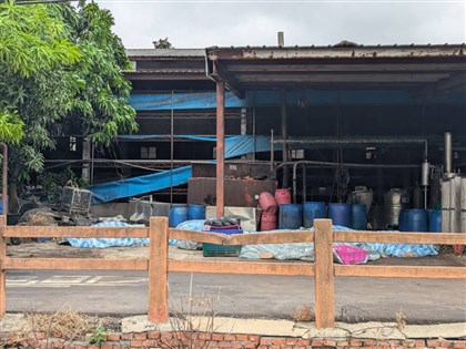 非洲豬瘟案場及關聯豬場違廢清法　最高罰千萬