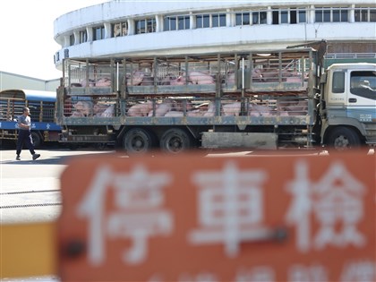 毛豬恢復拍賣價格平穩 農業部:7肉品市場每公斤96至106元