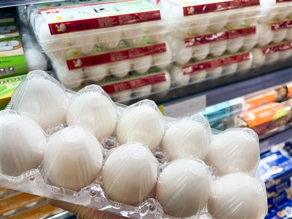 市售雞蛋檢出芬普尼殘留　石崇良：初判為環境污染最高罰2億