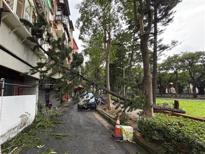 颱風鳳凰發陸警累計疏散撤離3337人　全國災情41件釀10傷
