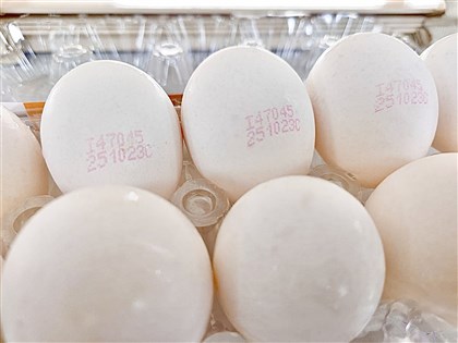 陳駿季:查芬普尼蛋來源 今明應會有結果