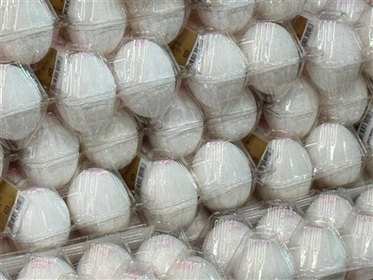 彰化文雅畜牧場雞蛋仍驗出芬普尼　縣府裁罰12萬