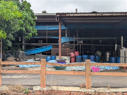 盧秀燕表態台中擬禁廚餘養豬　正與豬農等討論