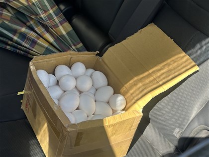 彰化芬普尼蛋不只流入台中 盧秀燕:有偷賣到他處