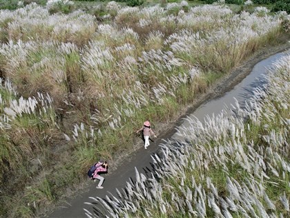 冷空氣逐漸減弱 白天回暖中南部上看攝氏27度