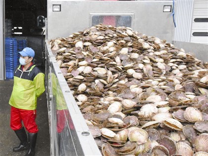 中國再禁日水產衝擊有限　業者早已開拓新通路