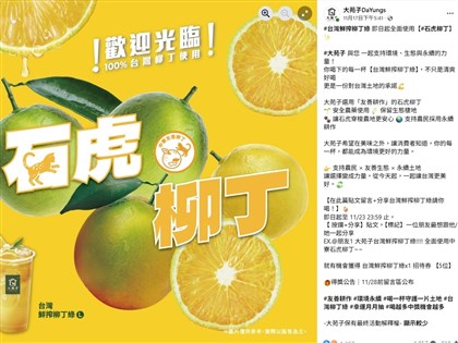 長壽天然農場：今年不賣友善石虎柳丁給大苑子