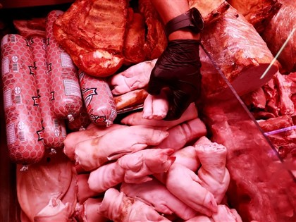 西班牙爆非洲豬瘟疫情　對中國豬肉出口全面喊停