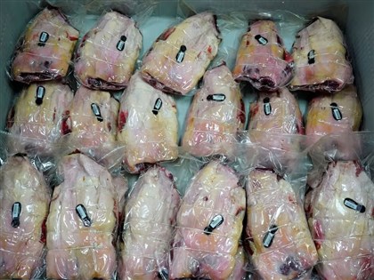 非洲豬瘟再現西班牙　業界憂豬肉出口亮紅燈