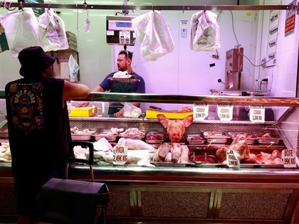 爆非洲豬瘟疫情　西班牙農業部不排除為實驗室外洩