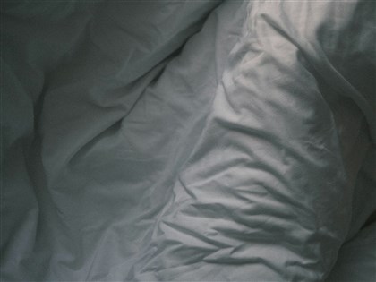 床蝨可能成破案奇兵　研究：吸血後保存人類DNA達45天