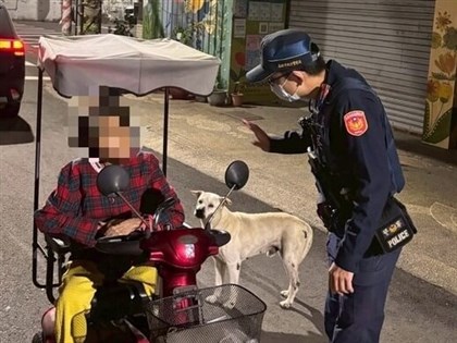 高雄8旬婦深夜迷途　忠犬小白引導警車成功返家