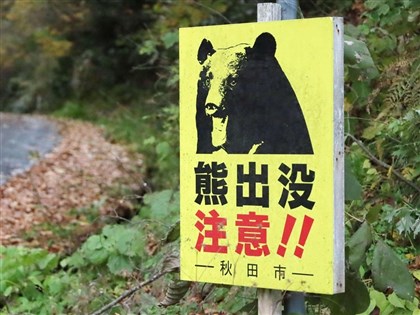 日本撲殺熊隻數創新高　4月到10月逼近1萬頭