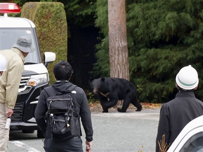 日本熊災促熊肉料理爆紅　野味餐廳一位難求
