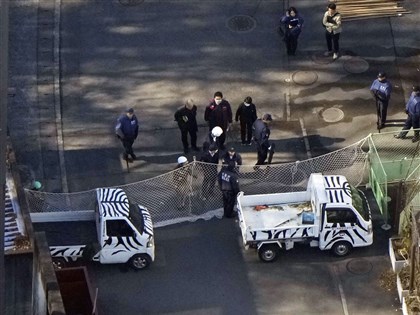 日本東京多摩動物園狼逃脫引網友關注　X貼文破千萬瀏覽