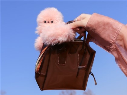 日本新創公司推迷你機器人Mirumi 主打溫暖陪伴引外媒關注