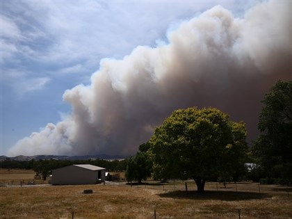 澳洲叢林大火逾3.8萬戶停電　維州宣布災難狀態