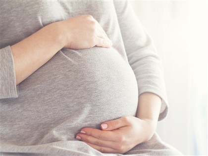 婦援會：不贊成代理孕母合法化　子宮非工具或商品