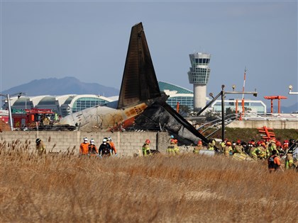 濟州航空179死空難　黑盒子首度公開揭班機遇5萬隻巴鴨