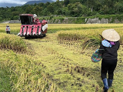 政院15日討論老農津貼加碼與否　擬衡酌採納朝野版本