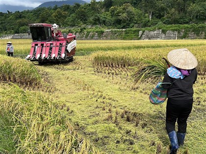 行政院通過老農津貼修法　調高為1萬元