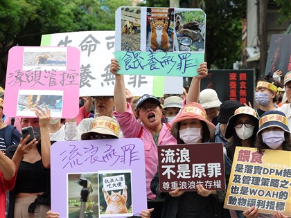 禁餵遊蕩動物未納動保法　陳駿季：未達共識前不宜入法