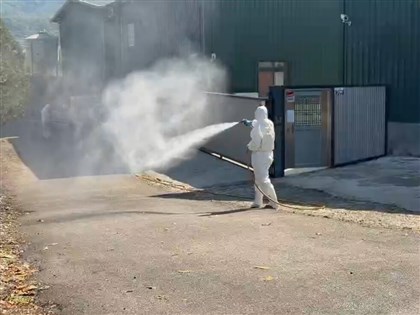 台中蛋雞場染禽流感涉隱匿 1/10即出現症狀仍出蛋