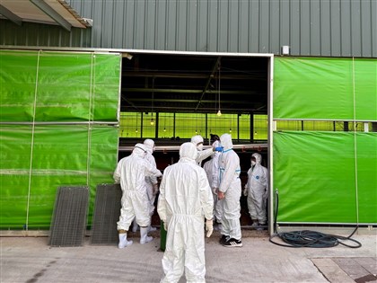 豐康牧場匿報禽流感　7125台斤蛋品流向台北、苗栗、台中