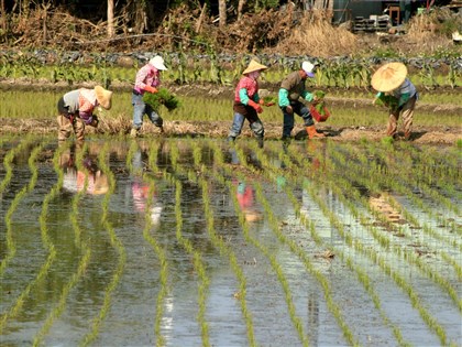 立春農民節吃春捲迎福 換季天氣多變6要訣防堵心血管疾病