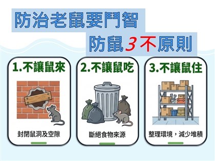 學者：居家防鼠落實「三不」　填補大於2公分縫隙
