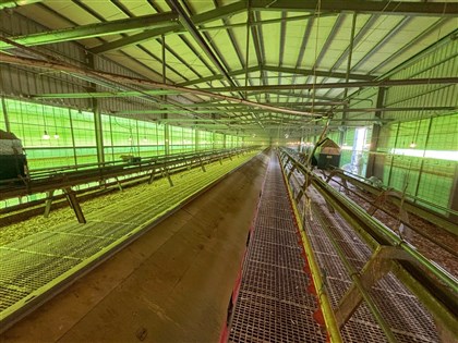 台中豐康牧場涉棄置斃死雞　業者地主遭聲押禁見