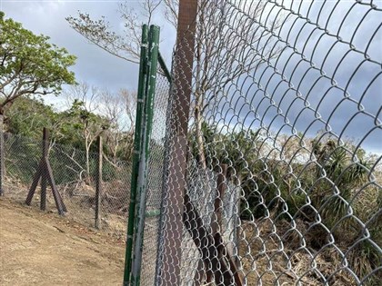 網傳梅花鹿困尼龍圍網亡　墾管處：近年用菱形鐵絲網