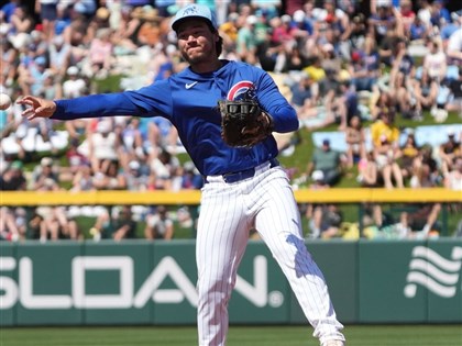 WBC台灣隊「龍」入選源自PTT介紹文　原PO鄉民不居功盼聚焦球員團隊