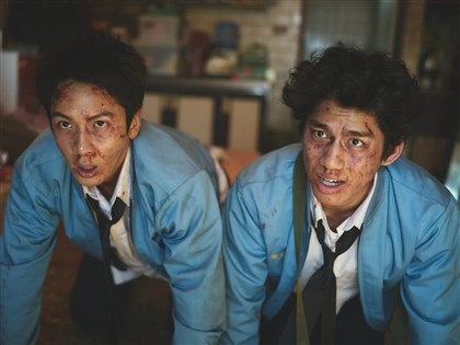 賀歲國片功夫、雙囍一次滿足　熱鬧溫馨陪過年