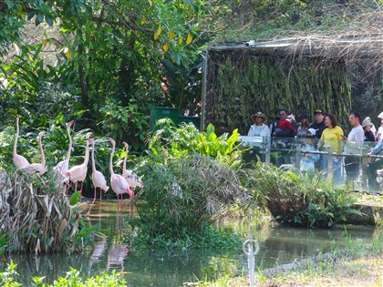 春節收假白天溫暖偏熱　午後南高屏逾30度
