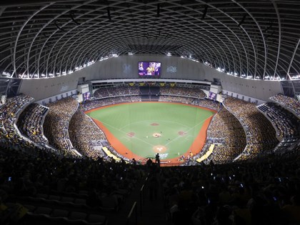 台日棒球交流賽開打　選手陣容、售票資訊一次看